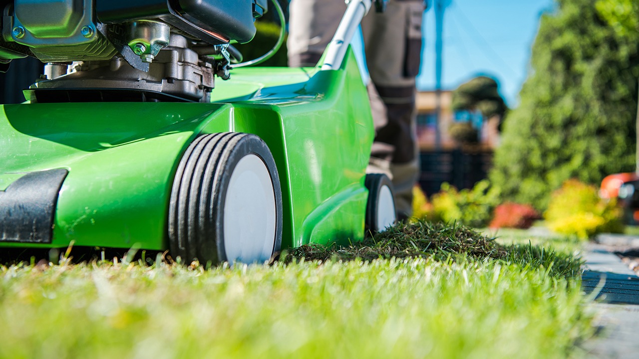 california electric lawn care