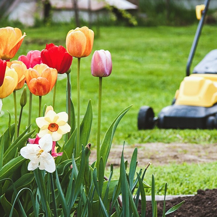 eco gardeners website