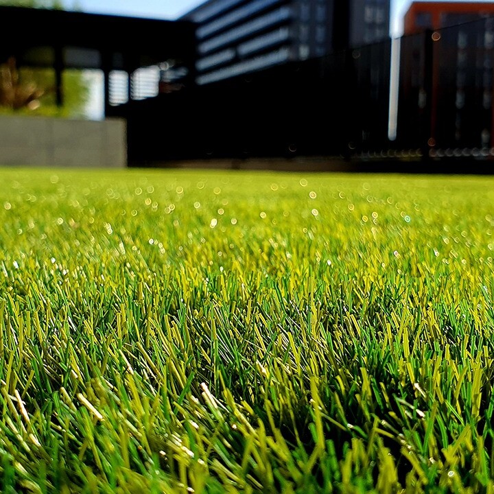 tips for lawn care southern california