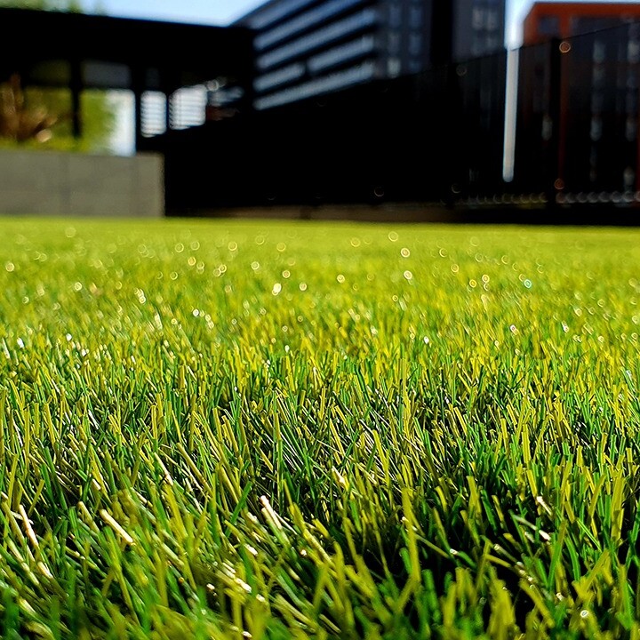 tips for lawn care southern california