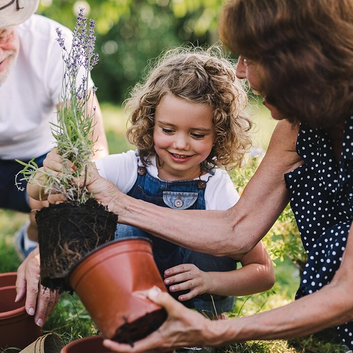 what is eco gardening?