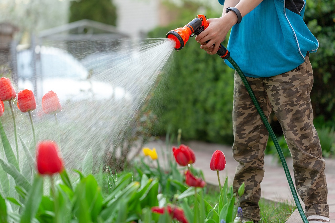 smart watering techniques