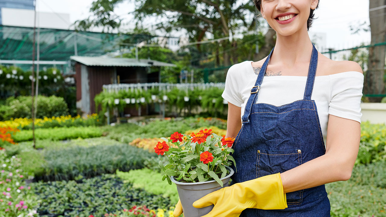 landscaping vs horticulture social